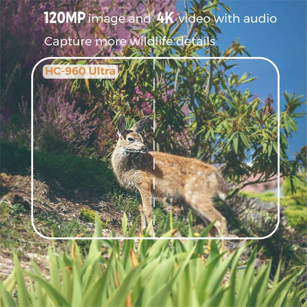 update. Outdoor 4G 120MP 4K Li - Hunting And Outdoor Shows ulasan dan harga