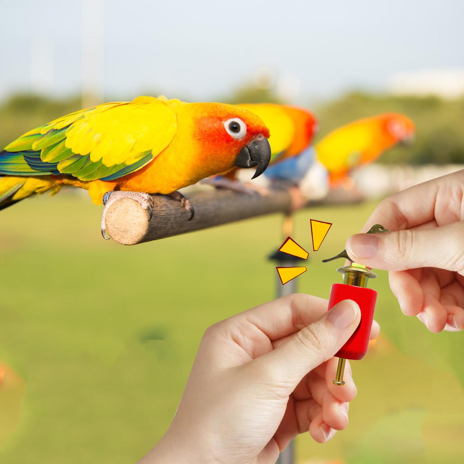 Bird Call Whistle Realistic Ho - Game Call Whistle ulasan dan harga